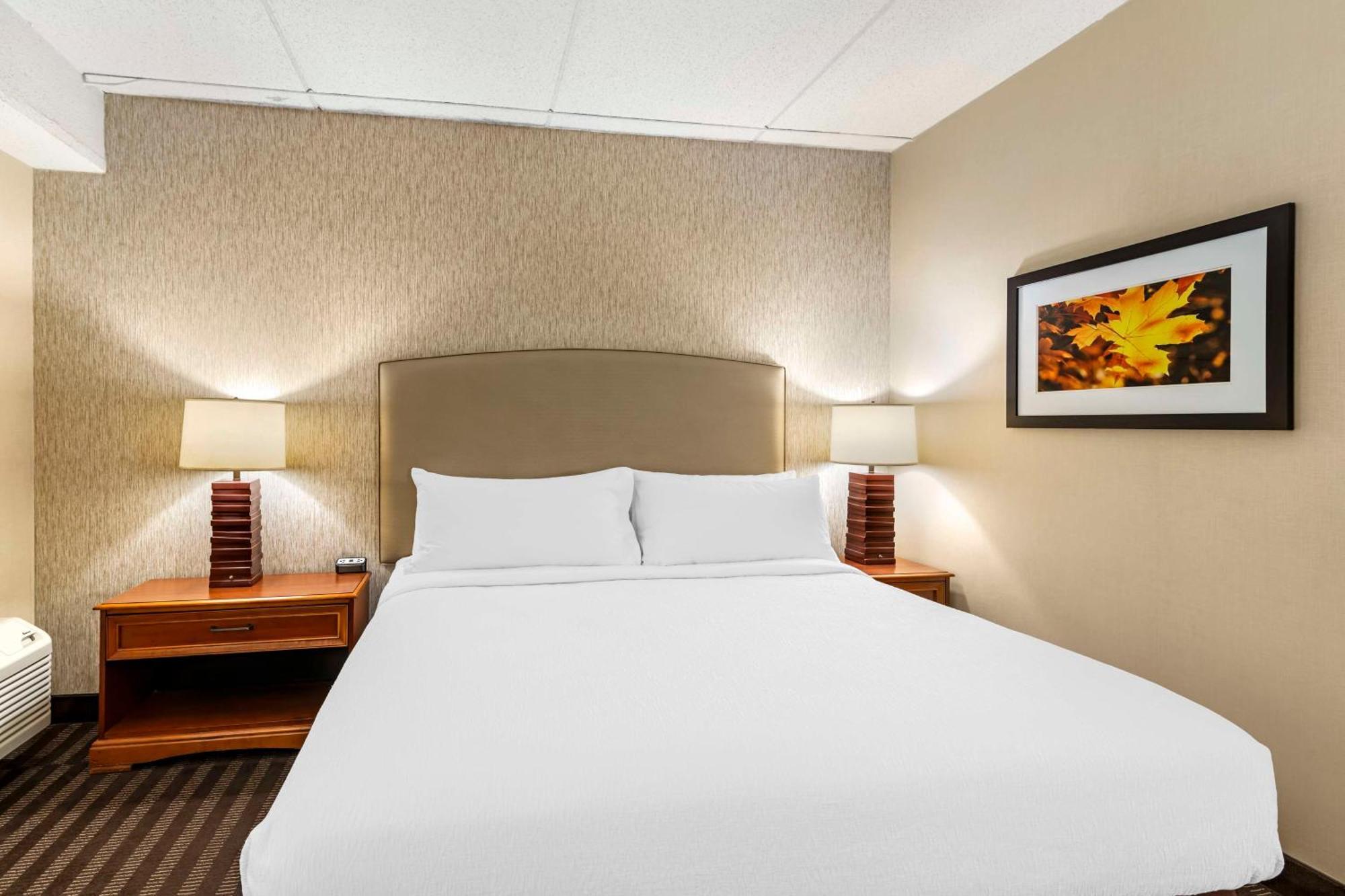 Best Western Springfield Hotel المظهر الخارجي الصورة